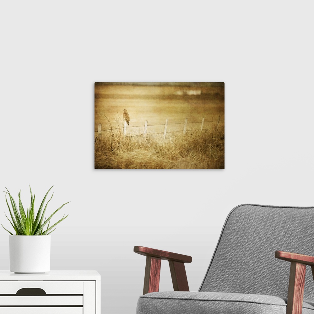 A modern room featuring Pictorialist photo of a large hawk on a fencepost on a prairie farm.