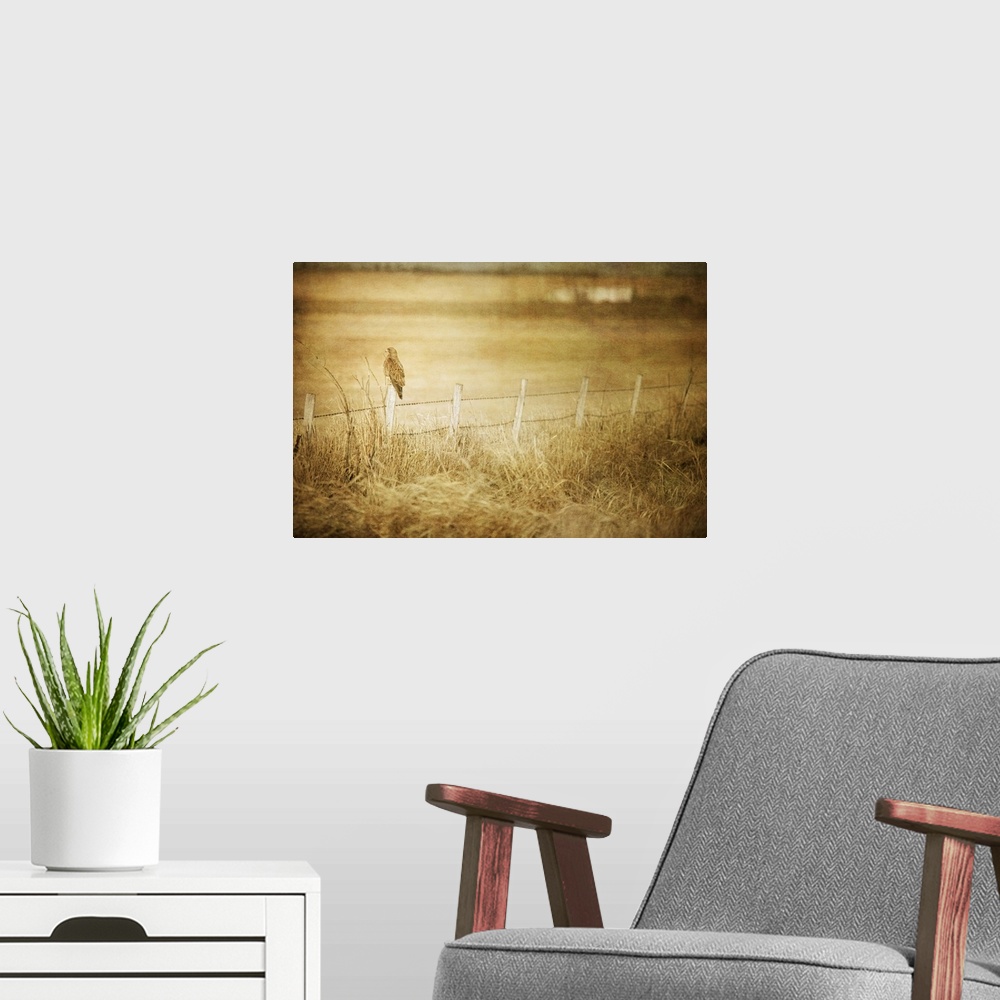 A modern room featuring Pictorialist photo of a large hawk on a fencepost on a prairie farm.