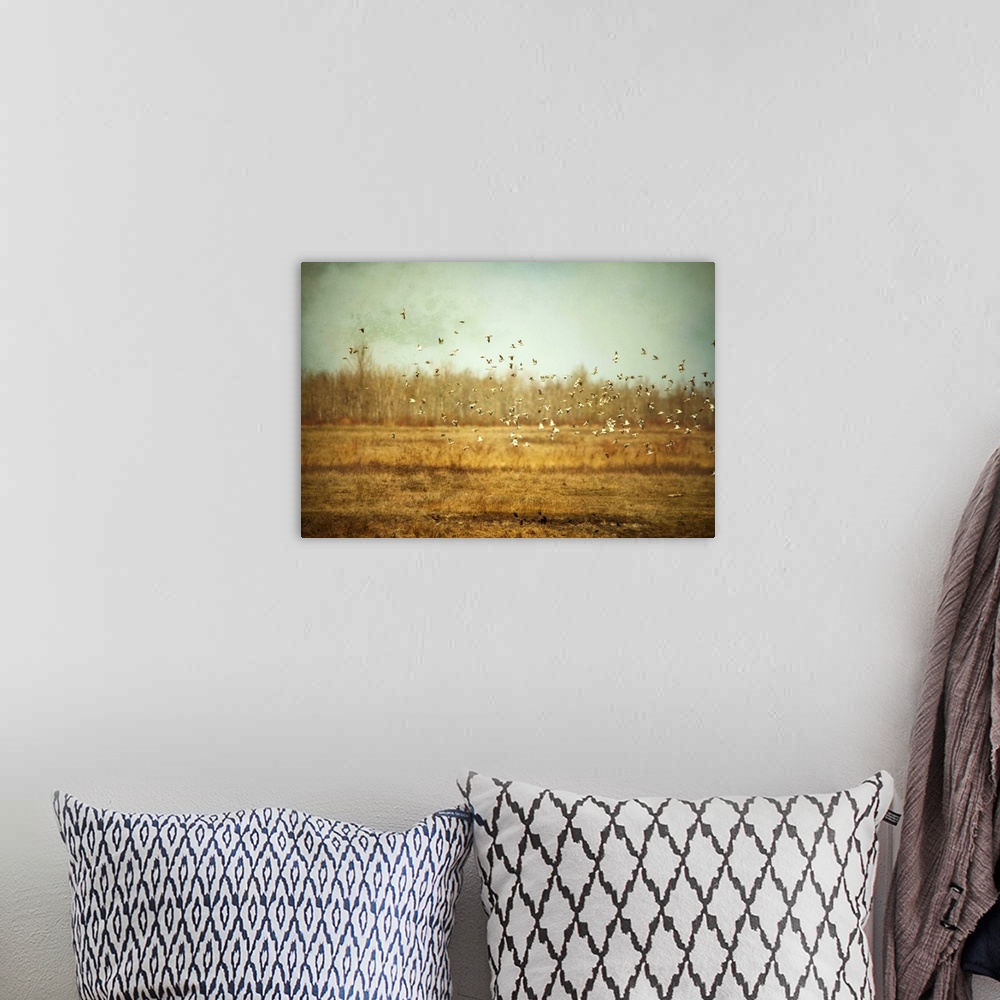 A bohemian room featuring Snow Buntings
