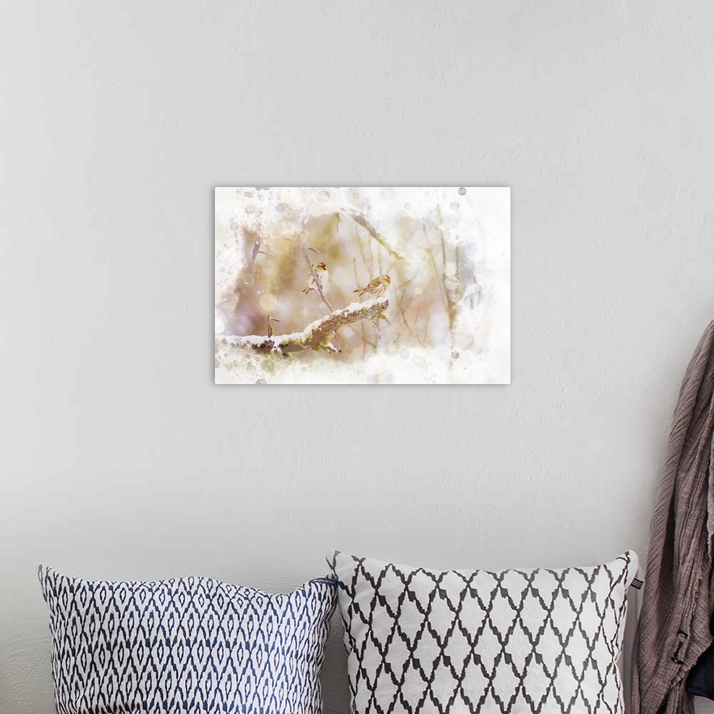 A bohemian room featuring Digital watercolor of two Common Redpolls in a snowy tree.