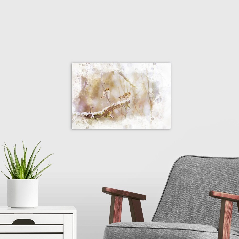 A modern room featuring Digital watercolor of two Common Redpolls in a snowy tree.
