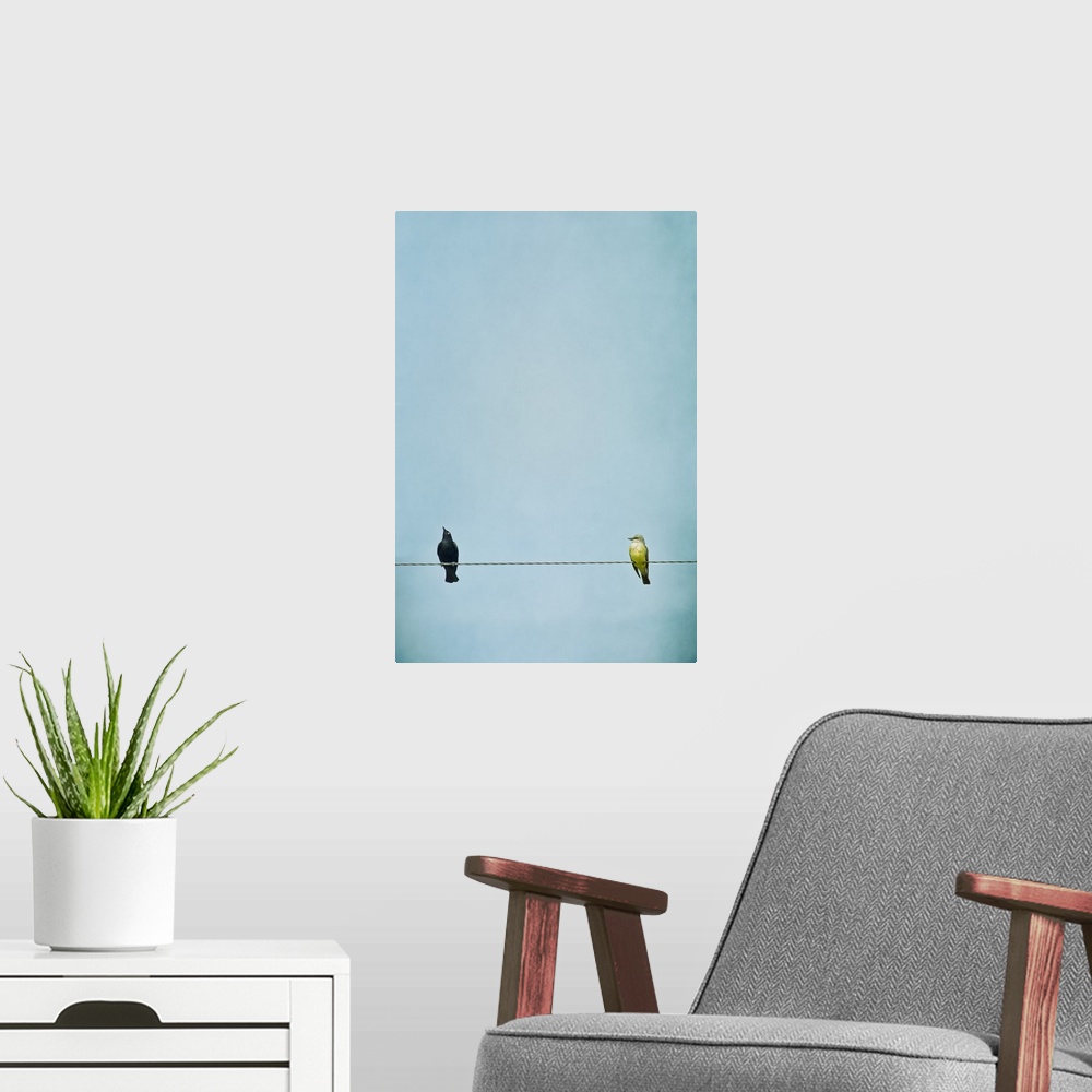 A modern room featuring A blackbird and flycatcher sitting on a telephone wire.