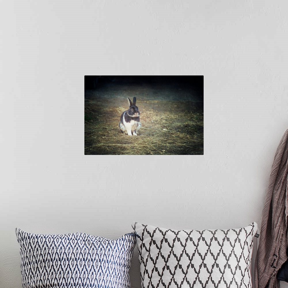 A bohemian room featuring A photo with a vignette of a bunny fixed on a pile of loose grass.