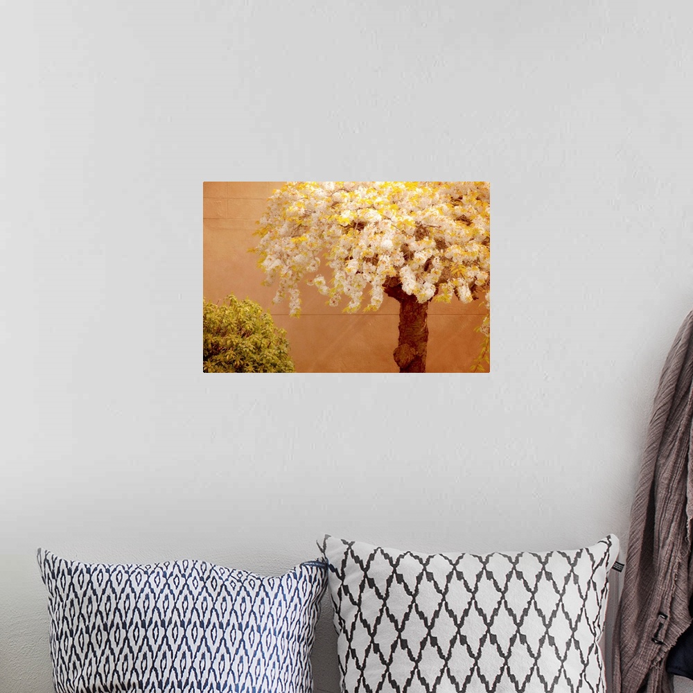 A bohemian room featuring A flowering cherry tree and bush along a orange cement wall.