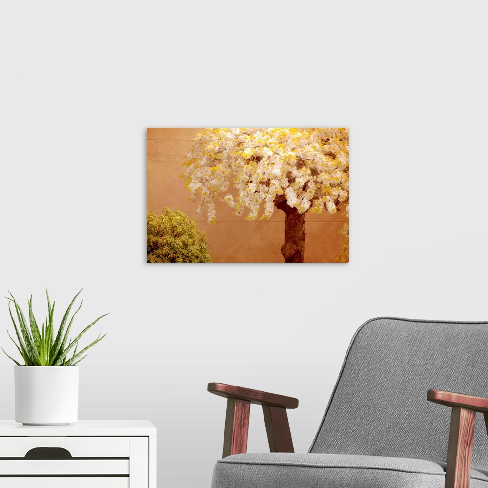A modern room featuring A flowering cherry tree and bush along a orange cement wall.