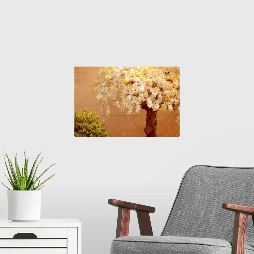 A modern room featuring A flowering cherry tree and bush along a orange cement wall.
