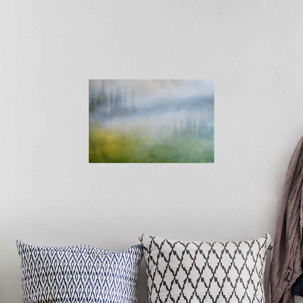 A bohemian room featuring Photograph of a trees in a wilderness landscape shrouded in a thick foggy haze.