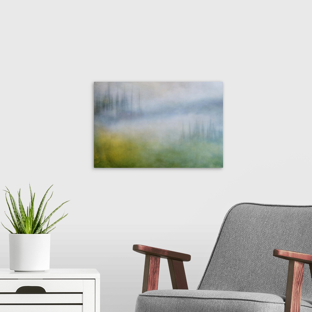 A modern room featuring Photograph of a trees in a wilderness landscape shrouded in a thick foggy haze.