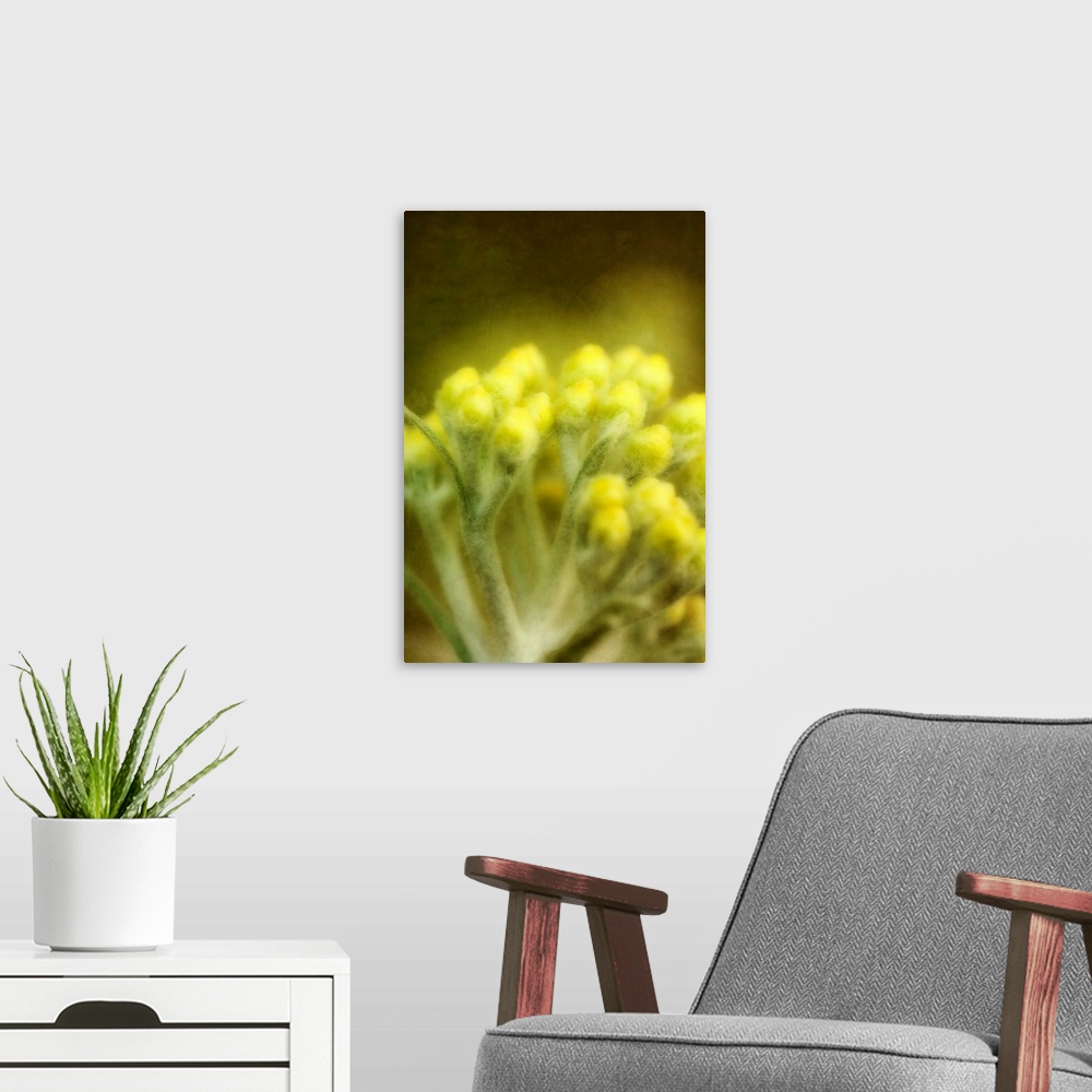 A modern room featuring A stalk of yellow flower buds about to open.