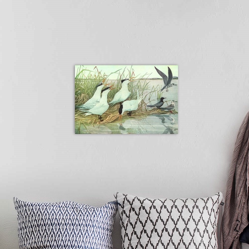 A bohemian room featuring Birds by Water