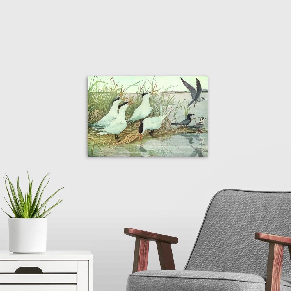 A modern room featuring Birds by Water