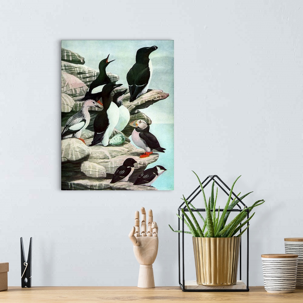 A bohemian room featuring Diving Birds