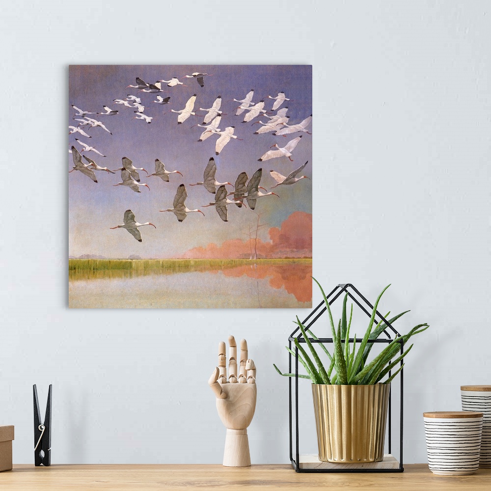 A bohemian room featuring White Ibis