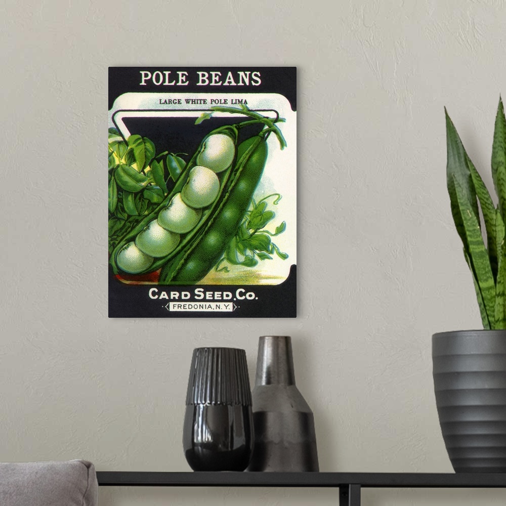 A modern room featuring Pole Beans