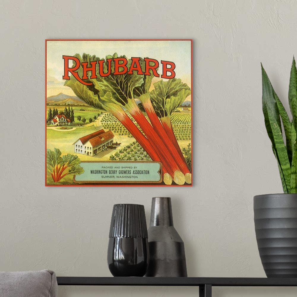 A modern room featuring Rhubarb Fruit Label