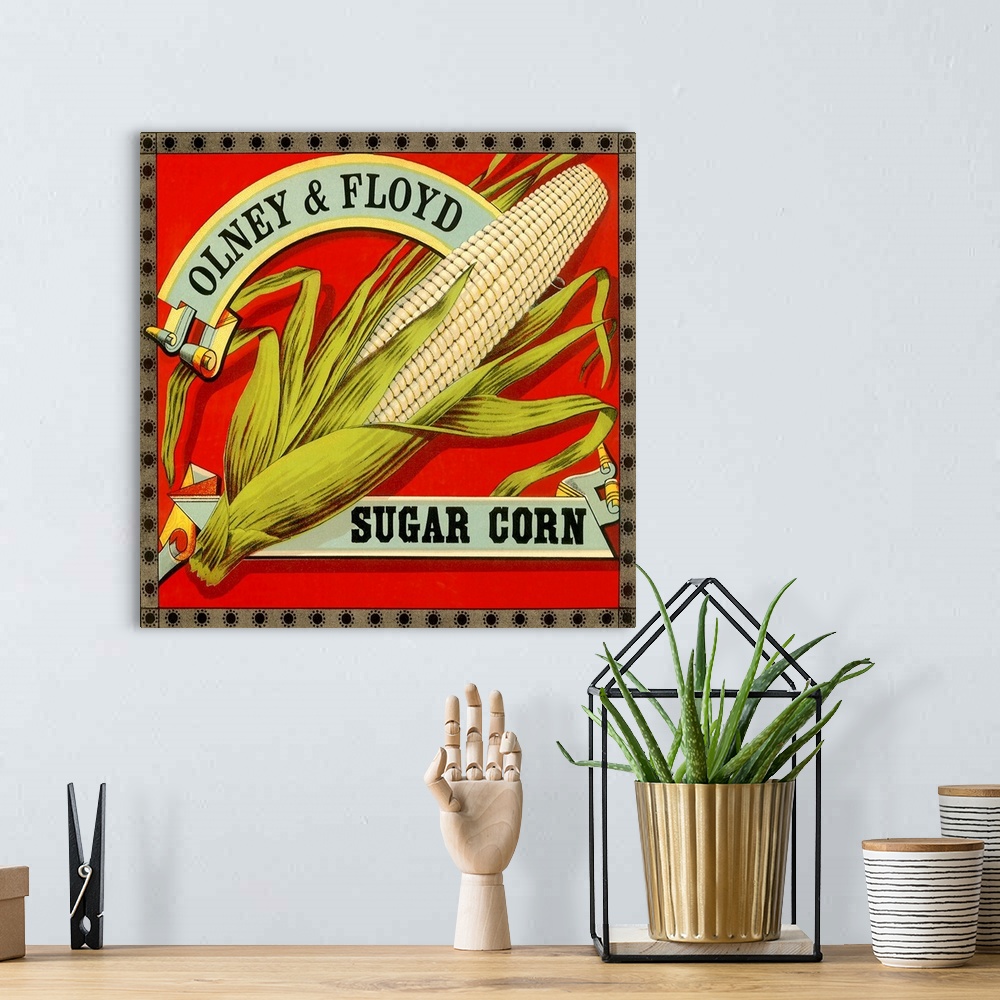 A bohemian room featuring Sugar Corn Label