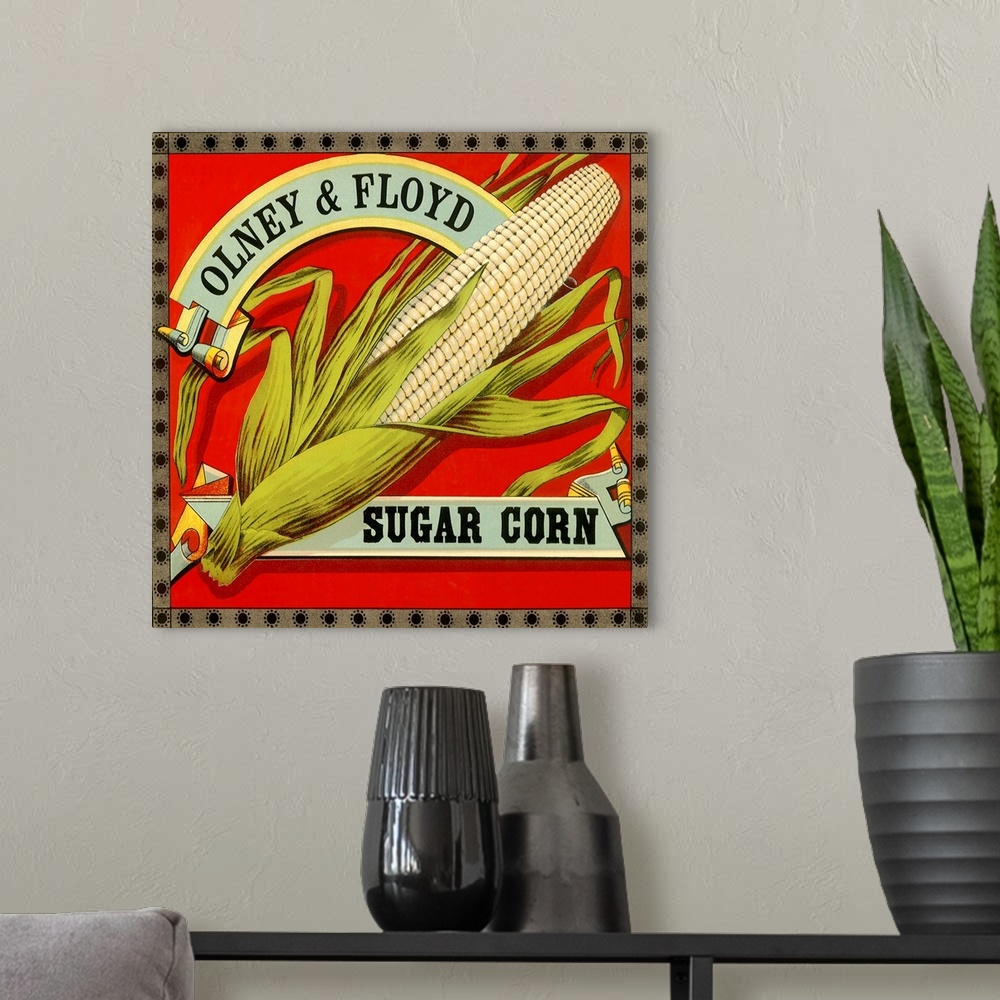 A modern room featuring Sugar Corn Label