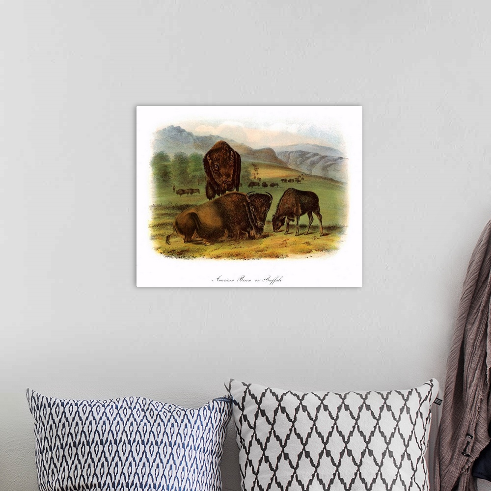 A bohemian room featuring Three Bison