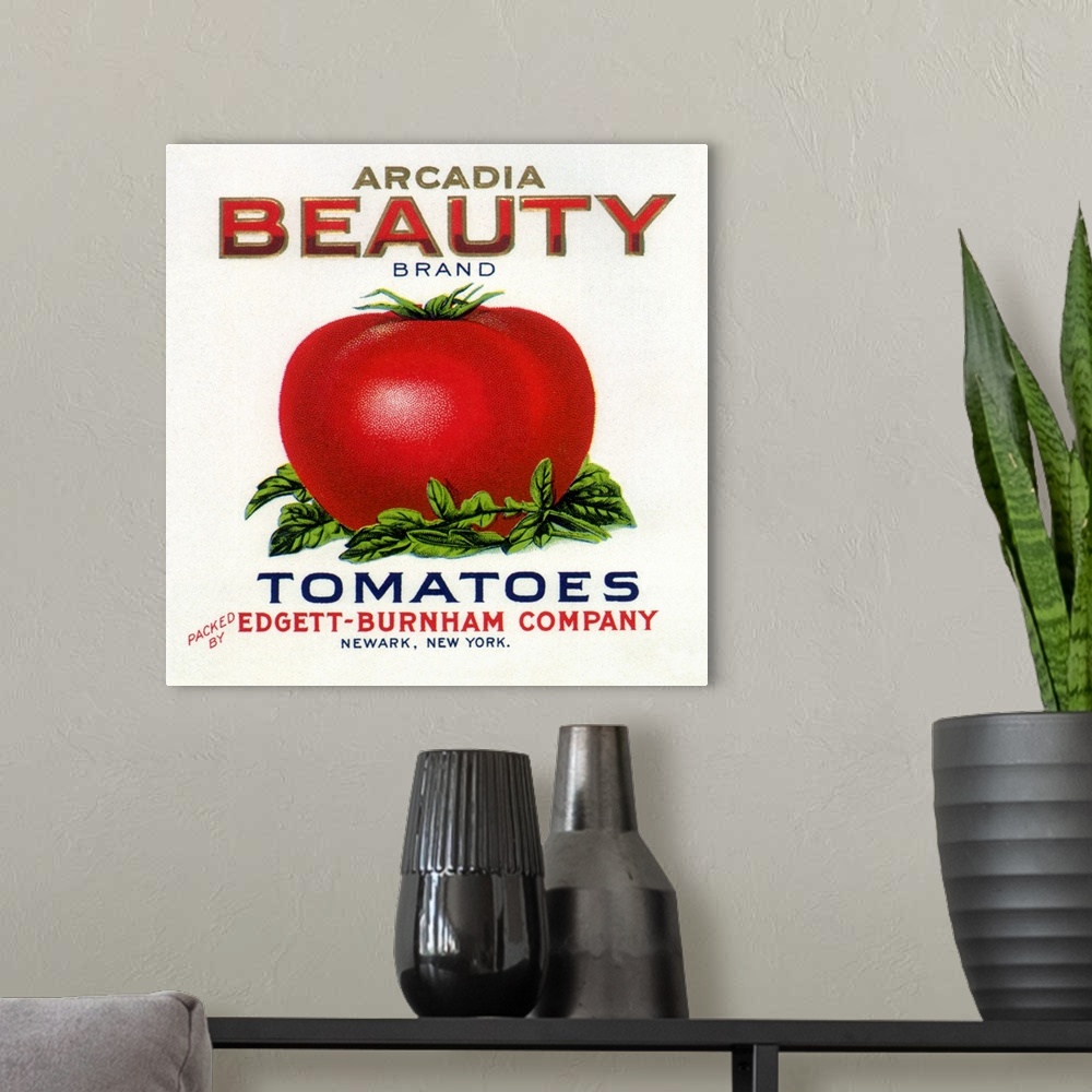 A modern room featuring Tomato Label
