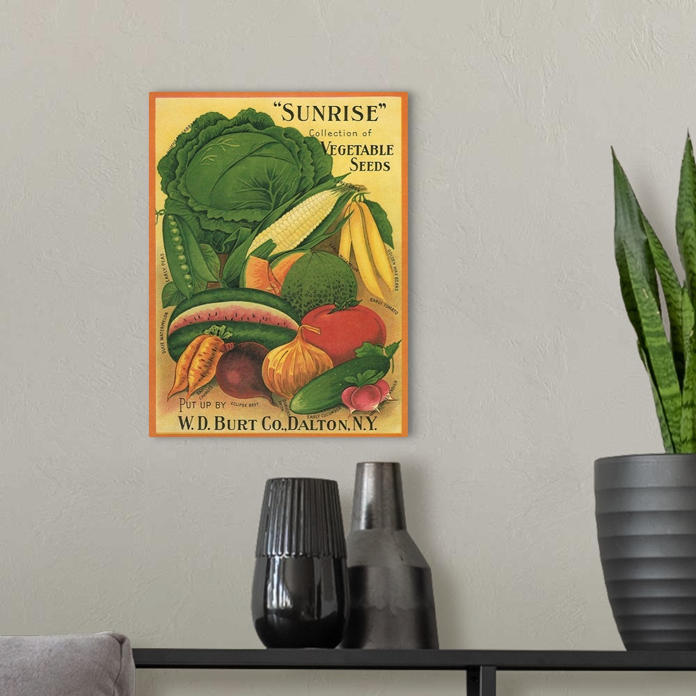 A modern room featuring Vegetables