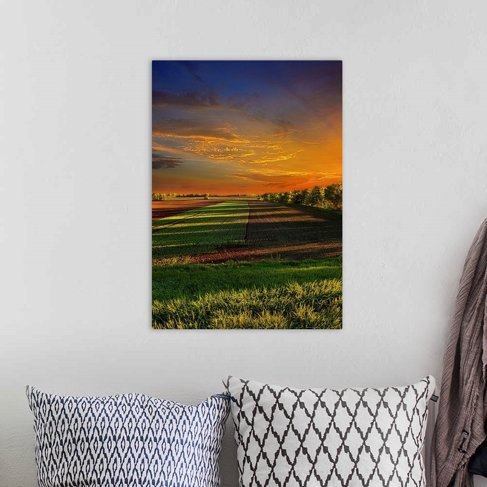 A bohemian room featuring Dramatic photograph of a countryside scene.
