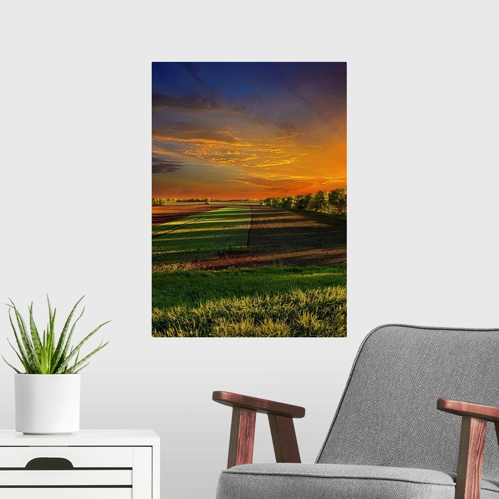 A modern room featuring Dramatic photograph of a countryside scene.
