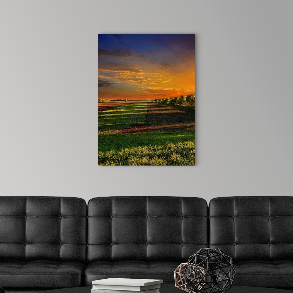A modern room featuring Dramatic photograph of a countryside scene.