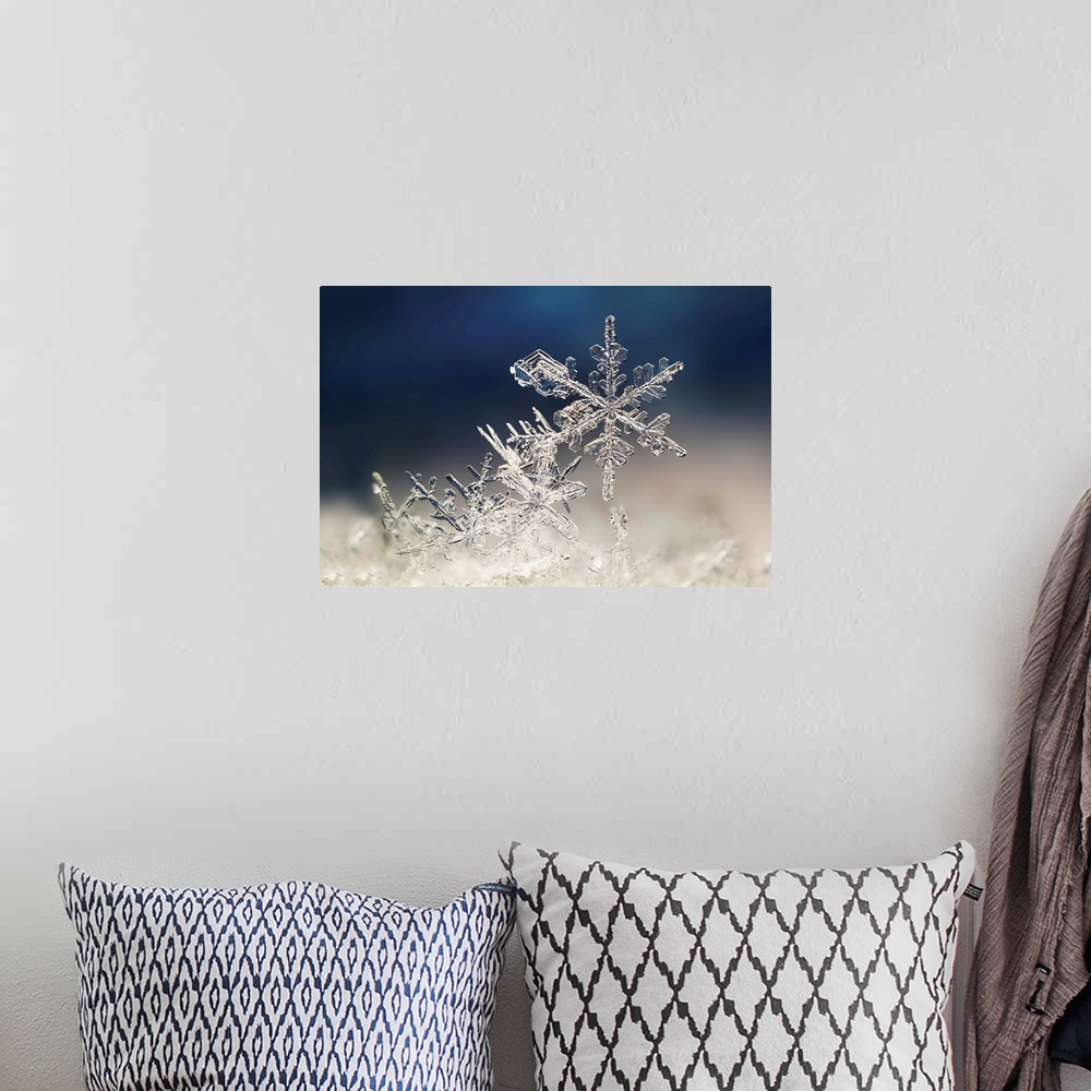 A bohemian room featuring Macro image of delicate snowflakes.