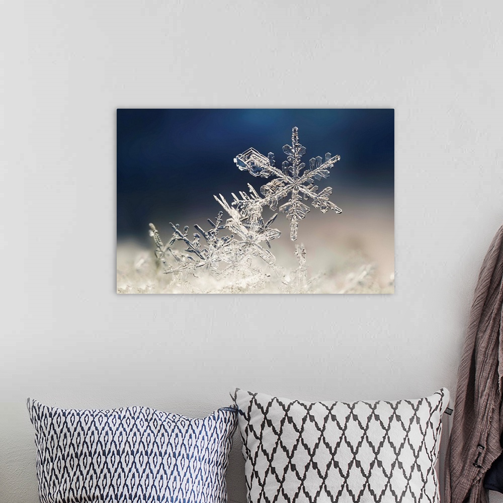 A bohemian room featuring Macro image of delicate snowflakes.