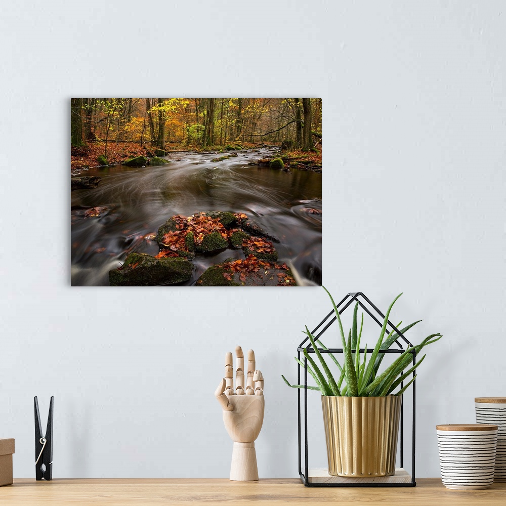 A bohemian room featuring Autumn Leaves in the Creek