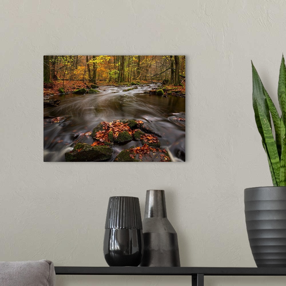 A modern room featuring Autumn Leaves in the Creek