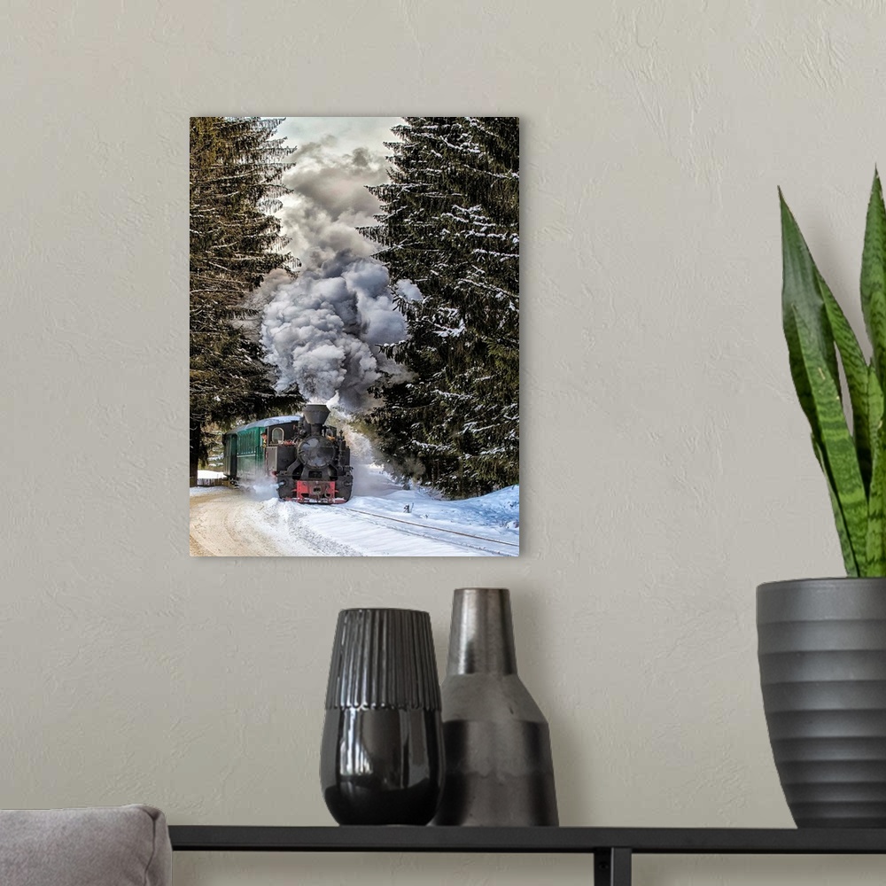 A modern room featuring A train approaches from between two large pine trees in the winter.
