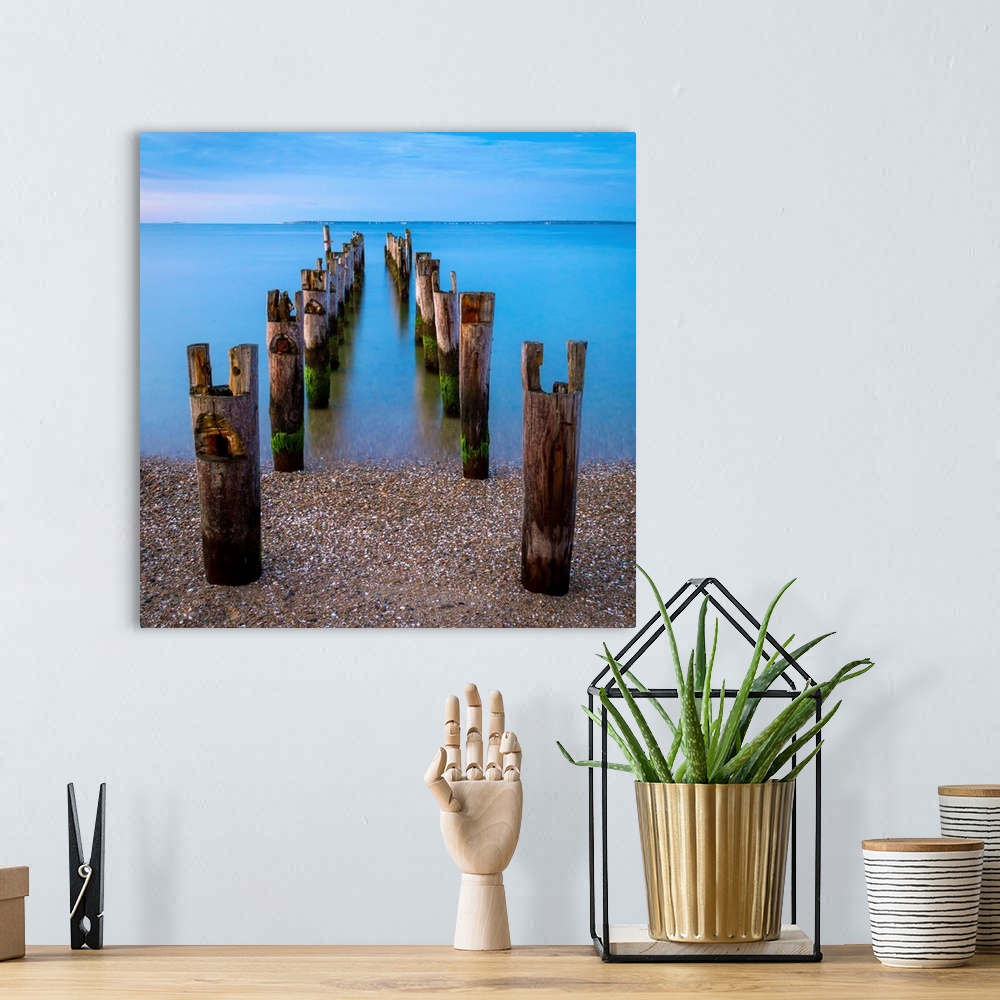 A bohemian room featuring Old pilings on a beach on Old Cape Cod.