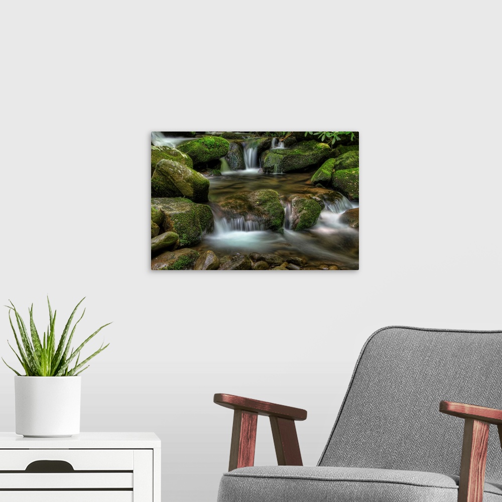 A modern room featuring Several small waterfalls over mossy rocks in Deep Creek, North Carolina.