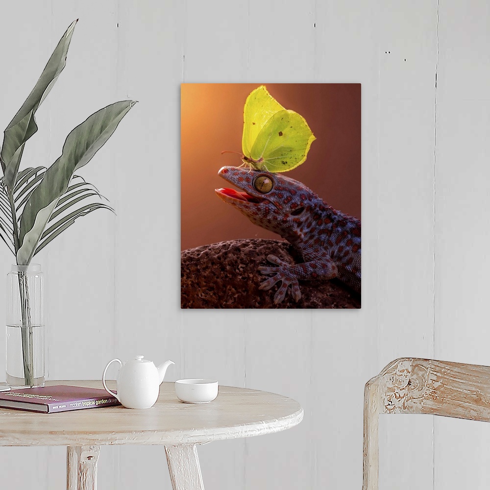 A farmhouse room featuring A yellow butterfly perched on the head of a gecko.