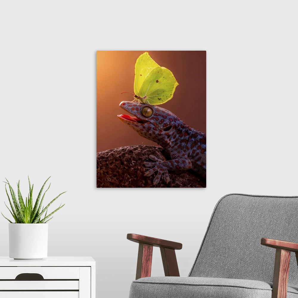 A modern room featuring A yellow butterfly perched on the head of a gecko.