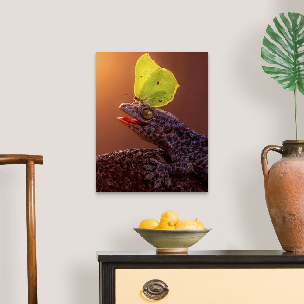 A traditional room featuring A yellow butterfly perched on the head of a gecko.