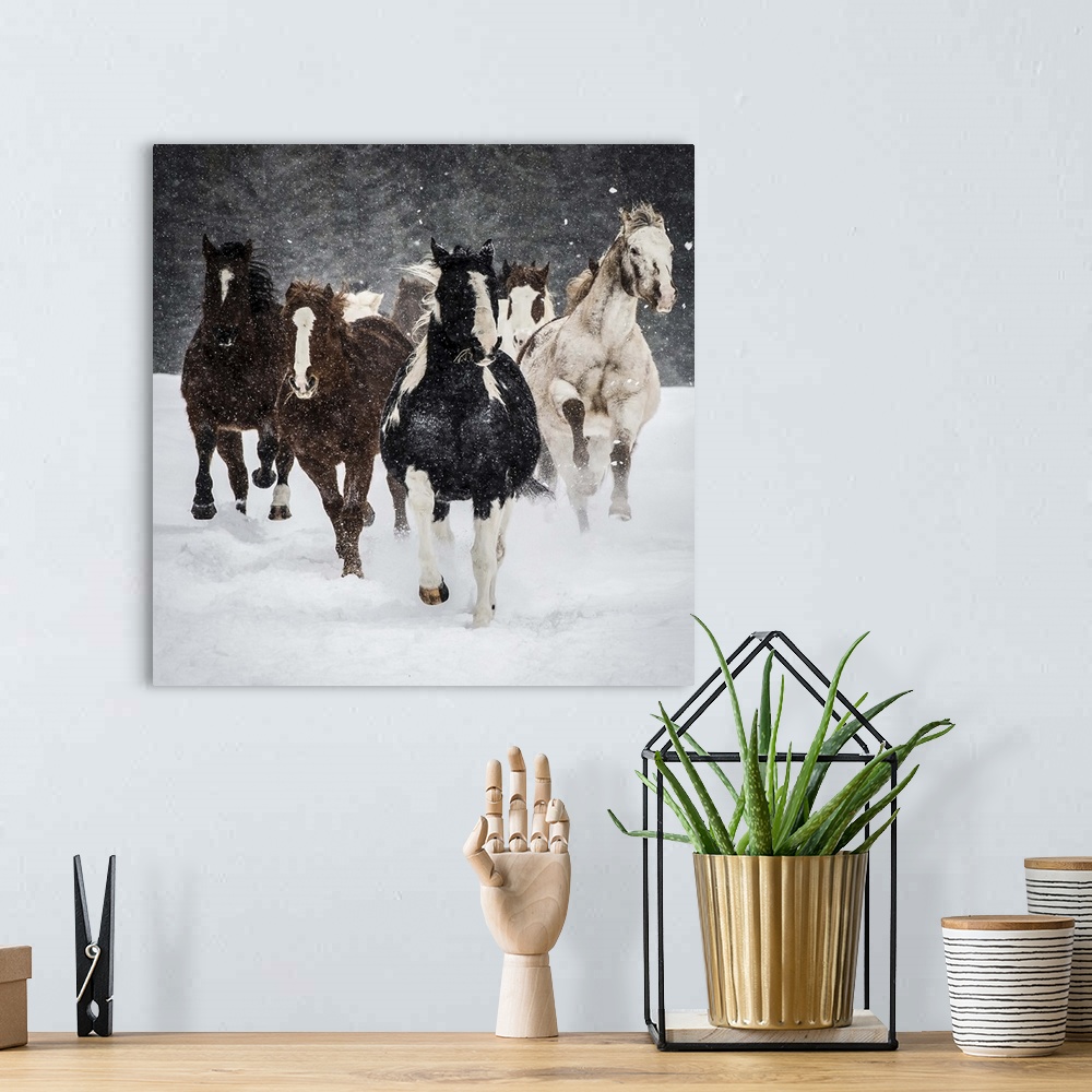 A bohemian room featuring Charging Horses