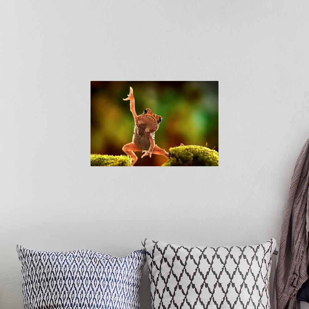 A bohemian room featuring A frog raising one arm up in the air in a funny pose.