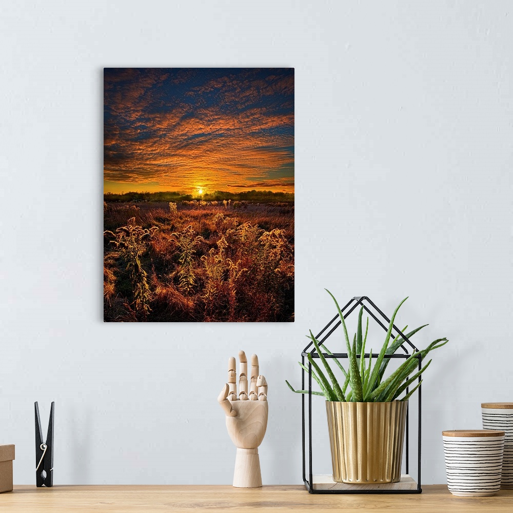 A bohemian room featuring Golden sunset and brilliant clouds over a field of farmland.