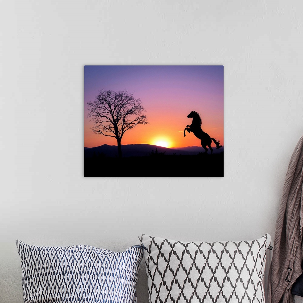 A bohemian room featuring Silhouette of a horse rearing at sunset, Croatia.
