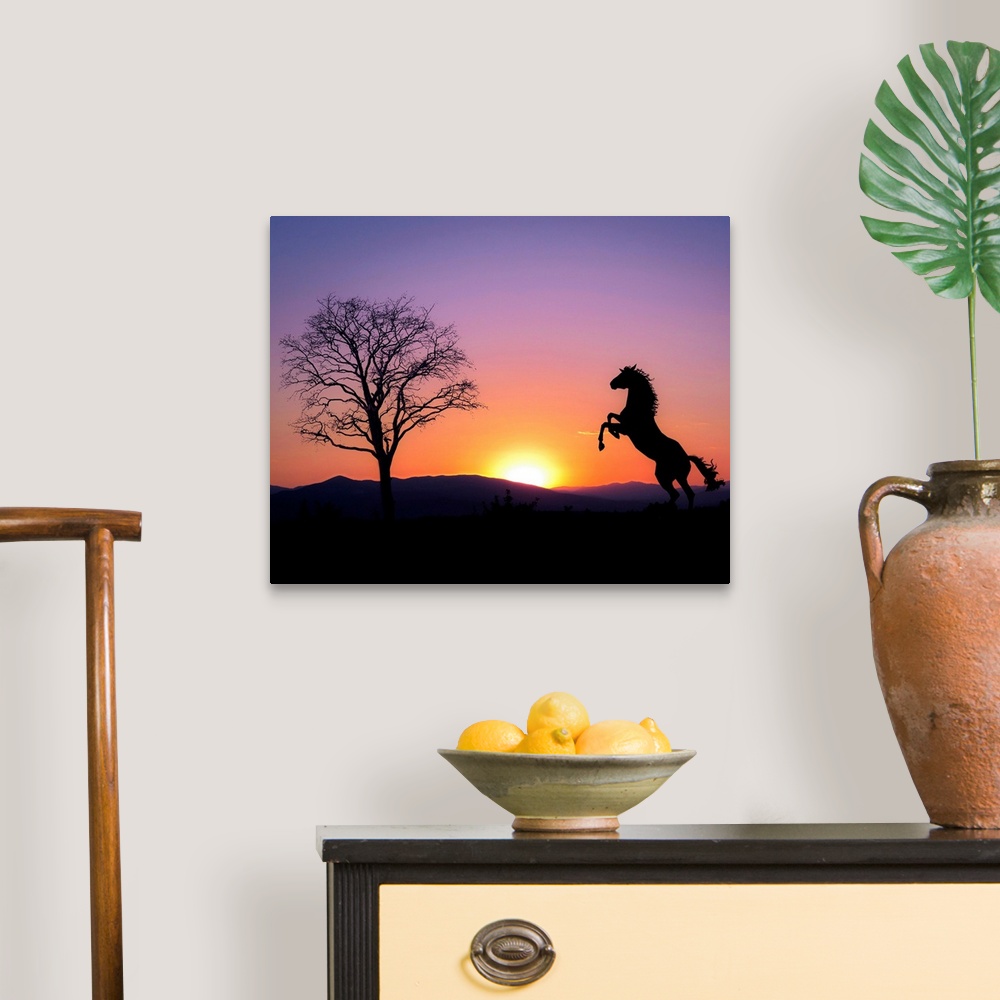 A traditional room featuring Silhouette of a horse rearing at sunset, Croatia.