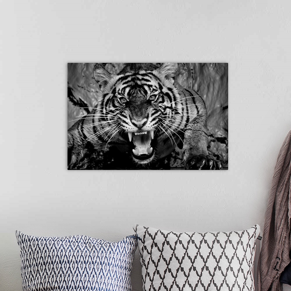 A bohemian room featuring Black and white portrait of a snarling tiger.