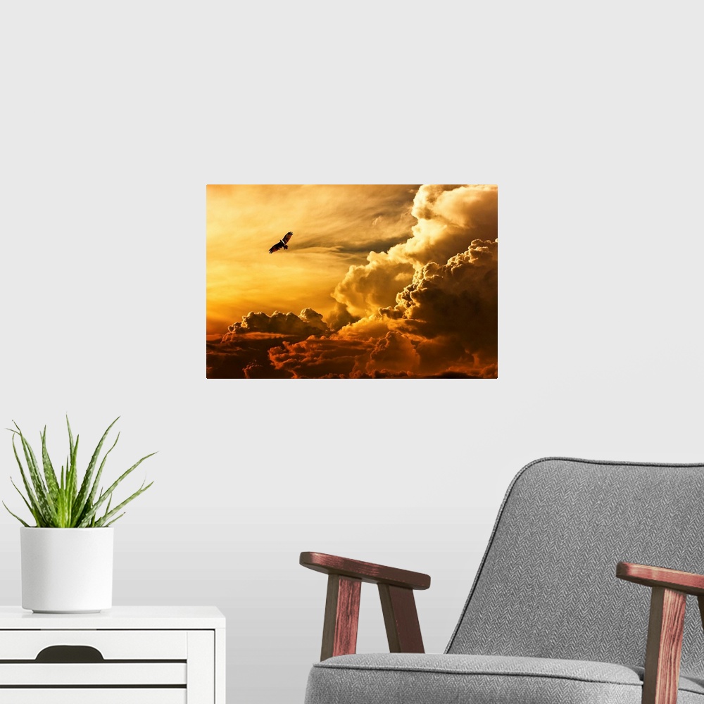 A modern room featuring An eagle flying in the sky over large clouds at sunset.