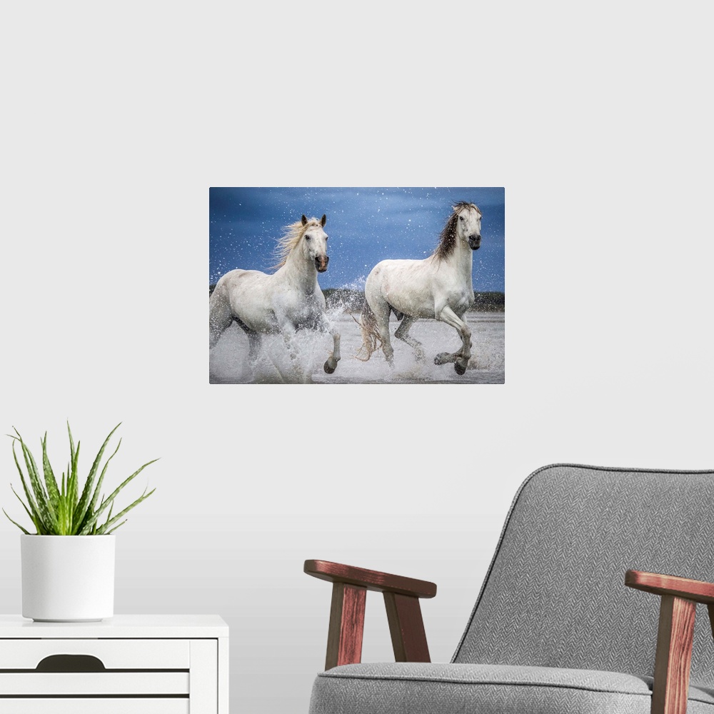 A modern room featuring Camargue horses running through the water during a storm.