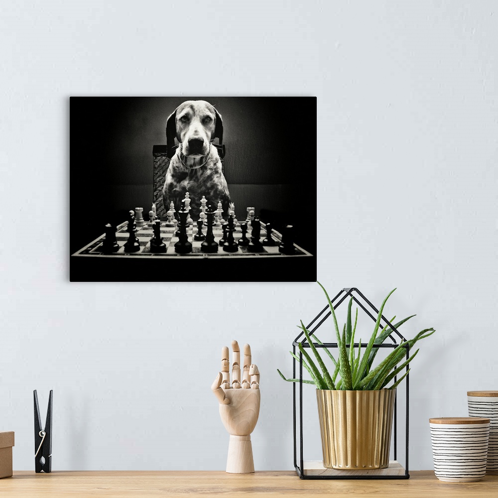 A bohemian room featuring Portrait of a dog sitting at a chess board.