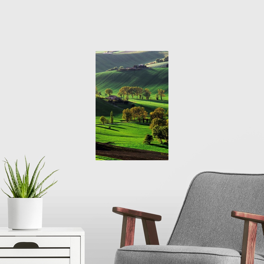 A modern room featuring Verdant hills in the countryside, Marche Region, Italy.