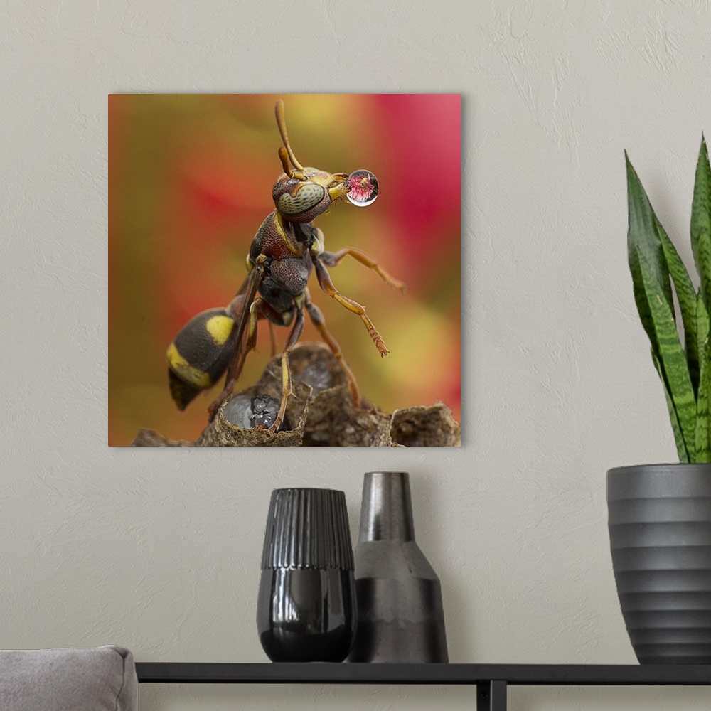 A modern room featuring Greetings from the Wasp