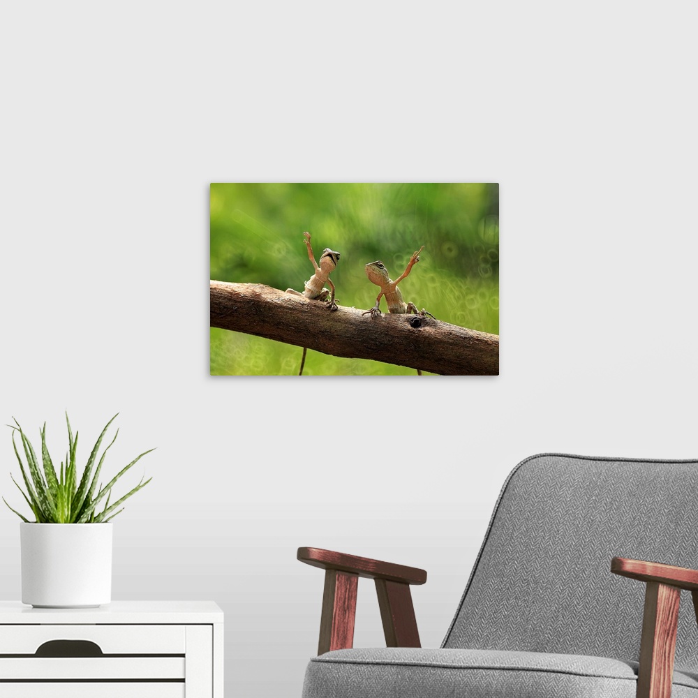 A modern room featuring Two small lizards on a branch with their arms up in the air.