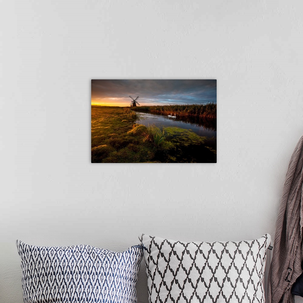 A bohemian room featuring Two swans in the river in Herringfleet, with a windmill in the back, at sunrise, England.